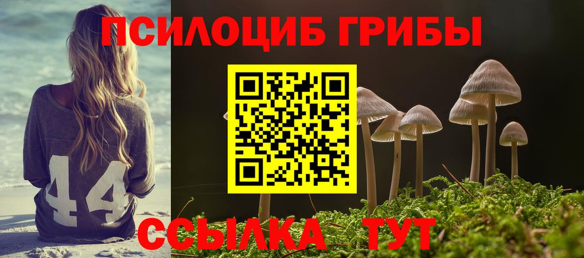 Псилоцибиновые грибы мухоморы  Псилоцибиновые грибы прущие грибы  Нефтекумск  Вход с VPN 