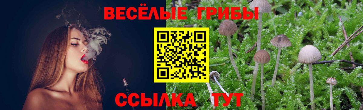 Псилоцибиновые грибы мухоморы Нефтекумск